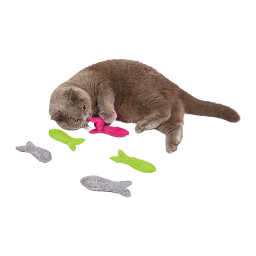 FOFOS Felt Fish Assorted Display Box 24pcs - Image 2