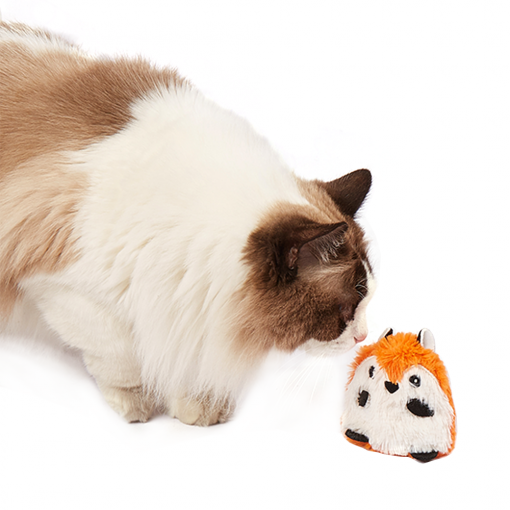 FOFOS Fox Floppy Crinkle Cat Toy - Image 3