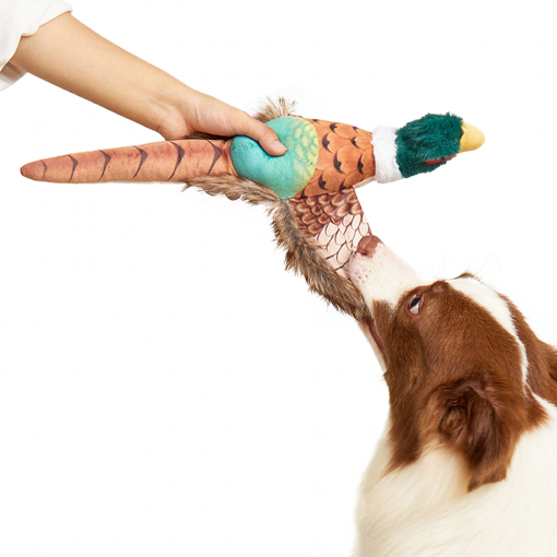 FOFOS Pheasant Plush Dog Toy - Image 3