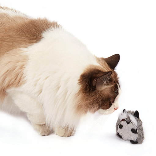 FOFOS Raccoon Floppy Crinkle Cat Toy - Image 3