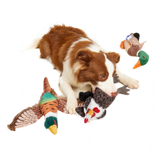 FOFOS Rooster Plush Dog Toy - Image 3