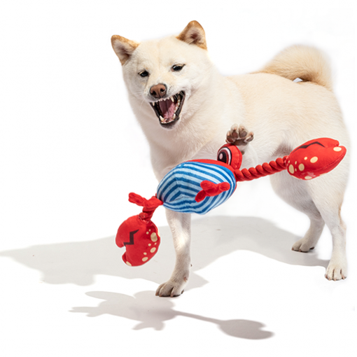 FOFOS Sealife Crab Dog Toy - Image 3