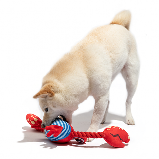 FOFOS Sealife Crab Dog Toy - Image 4