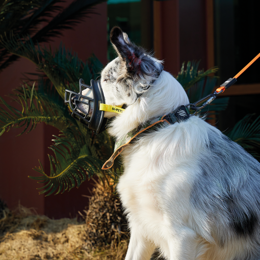 M-PETS Bark Guard Muzzle XL - Image 3