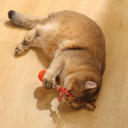 M-PETS Charmy Amulet Matatabi Orange Catnip Cat Toy - Image 4