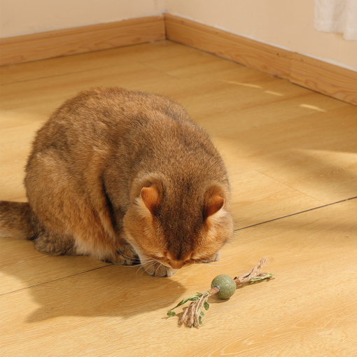 M-PETS Charmy Branch Green Catnip Cat Toy - Image 3