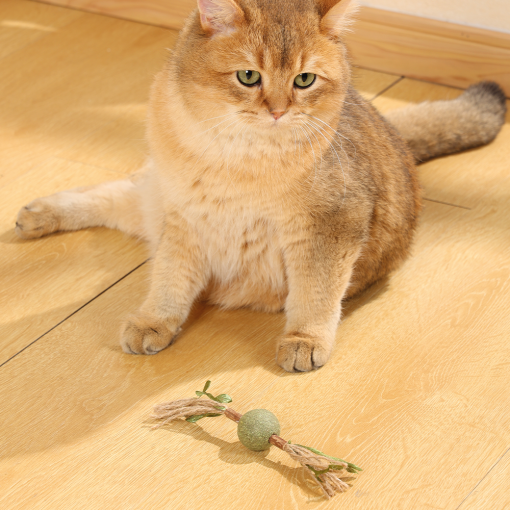 M-PETS Charmy Branch Green Catnip Cat Toy - Image 2