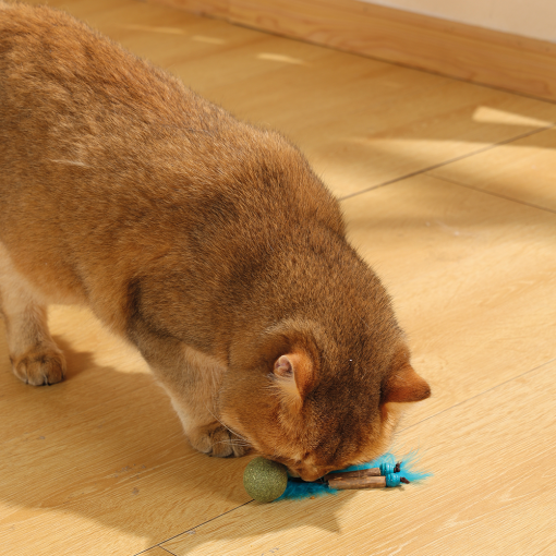 M-PETS Charmy Bugbear Blue Catnip Cat Toy - Image 4