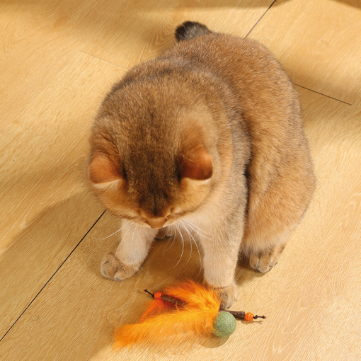 M-PETS Charmy Bugbear Orange Catnip Cat Toy - Image 4