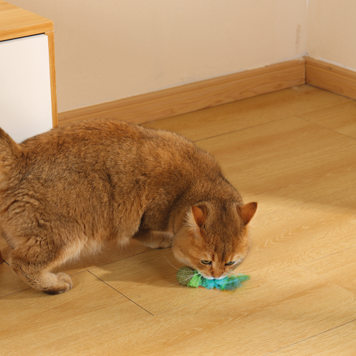 M-PETS Charmy Firefly Green Catnip Cat Toy - Image 4