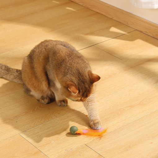 M-PETS Charmy Firefly Orange Catnip Cat Toy - Image 3