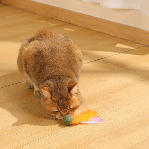 M-PETS Charmy Firefly Orange Catnip Cat Toy - Image 4