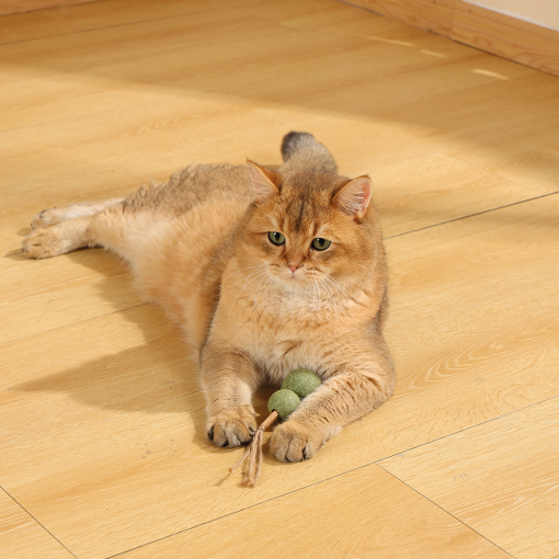 M-PETS Charmy Snowman Catnip Cat Toy - Image 4