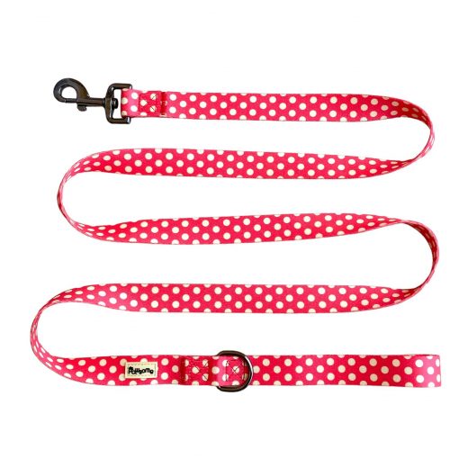 Laura Polka Collection Dog walking Leash
