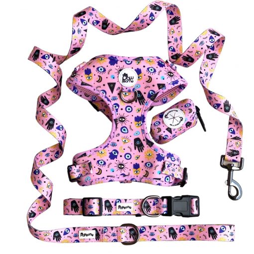 Pink Fortune Leash for Dog's - Image 2