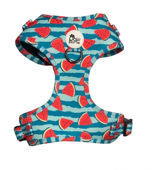 Pawsome- Pali Pet - Not Just a watermelon Vest Harness