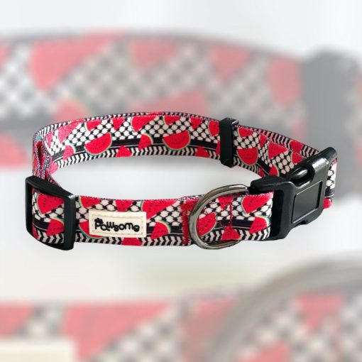 Pawsome - "Pali Pet Watermelon" Dog Collar - Image 2