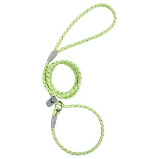 Candy Paw Slip Leash Mint Green