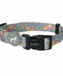 Camelia Dove Grey Collar