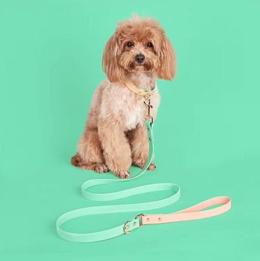 Soft Mint Green Waterproof - Two tone Leash and Collar set - leash 1.4mt - Image 2