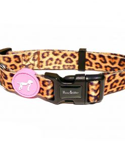 Hanz & Oley - Wild Thing 24 Collar
