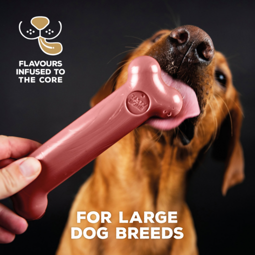 TastyBone Nylon Large Dog - Bacon - Image 2