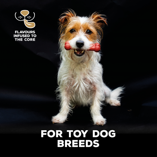 TastyBone Nylon Toy Dog - Beef - Image 2