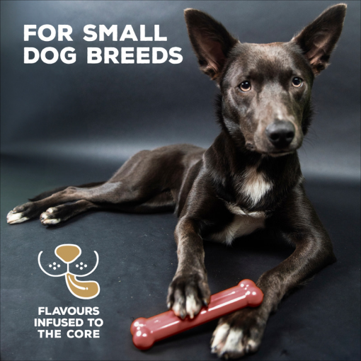 TastyBone Nylon Small Dog - Bacon - Image 2